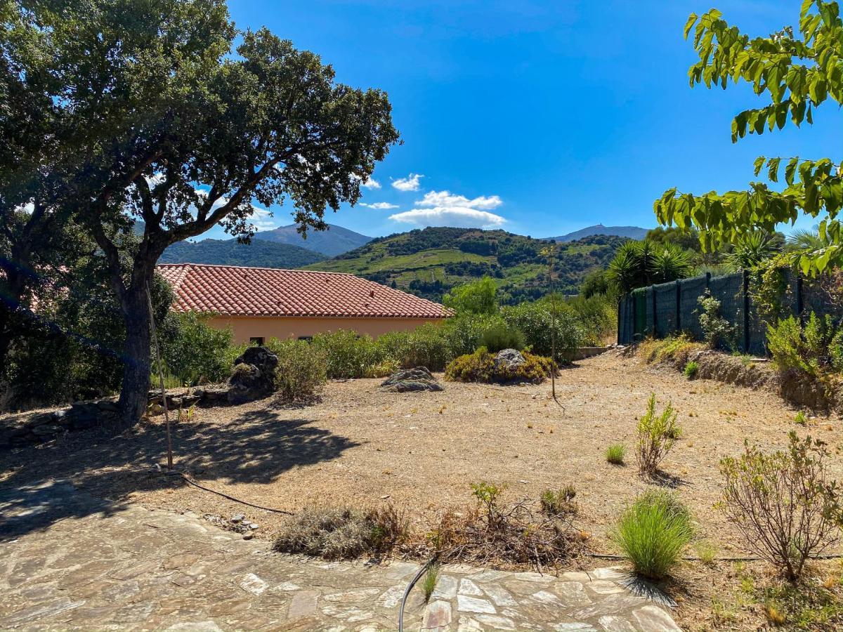 4Amb2 Villa De Caractere Avec Piscine Collective 科利尤尔 外观 照片